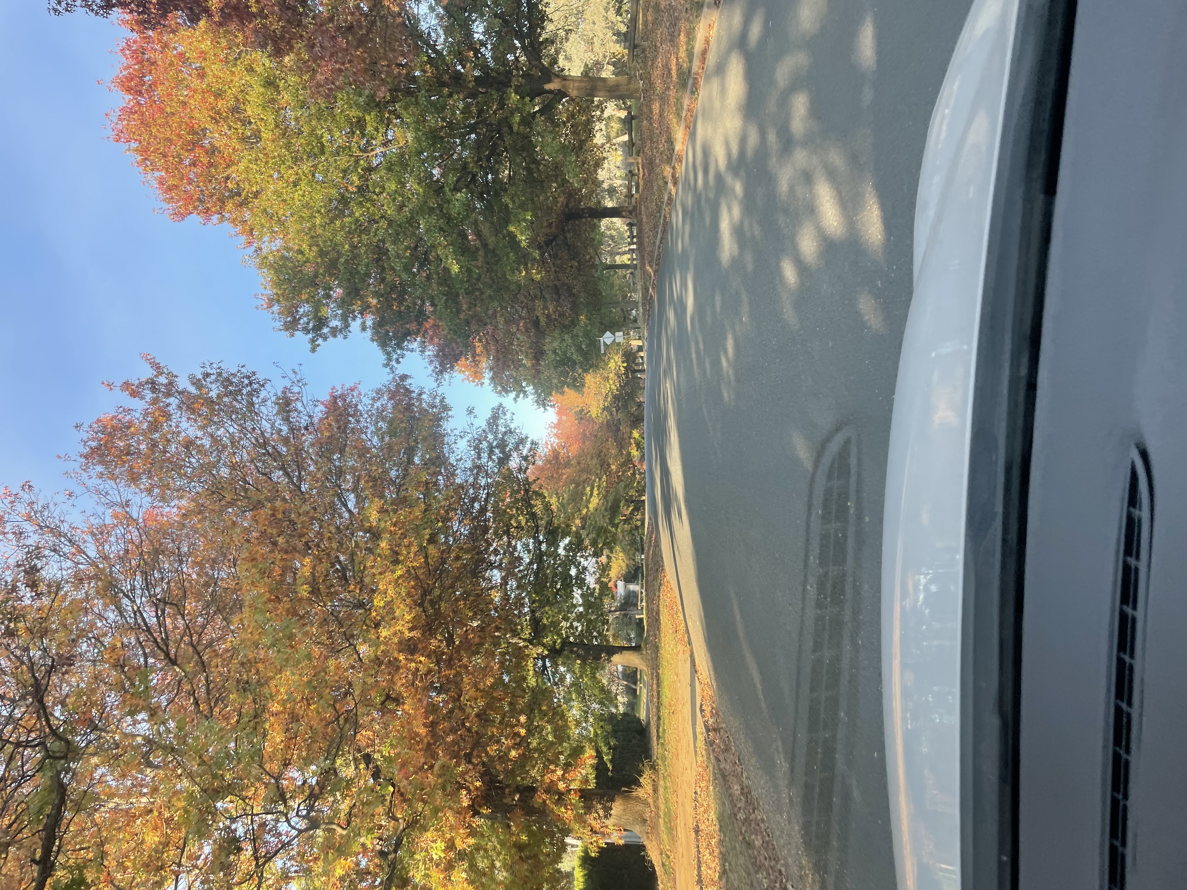 My suburb in Canberra during Autumn